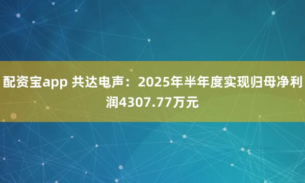 配资宝app 共达电声：2025年半年度实现归母净利润4307.77万元