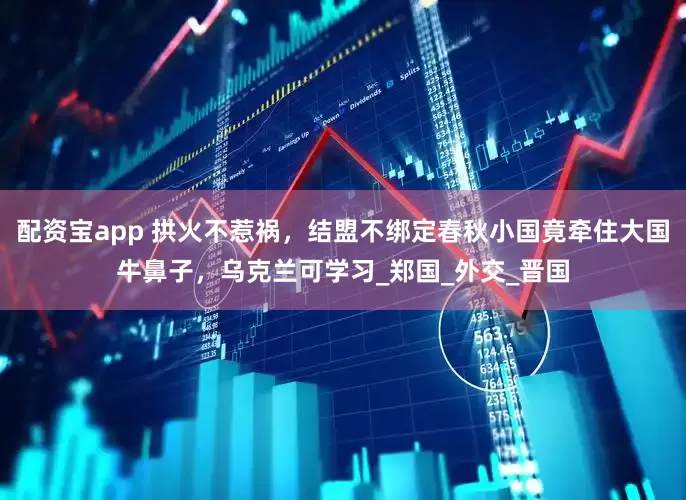 配资宝app 拱火不惹祸，结盟不绑定春秋小国竟牵住大国牛鼻子，乌克兰可学习_郑国_外交_晋国