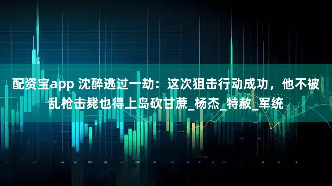 配资宝app 沈醉逃过一劫：这次狙击行动成功，他不被乱枪击毙也得上岛砍甘蔗_杨杰_特赦_军统