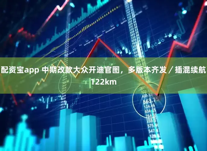 配资宝app 中期改款大众开迪官图，多版本齐发／插混续航122km